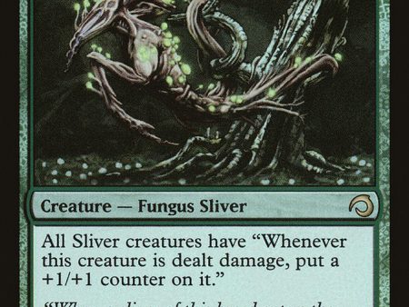 Fungus Sliver [Premium Deck Series: Slivers] Sale